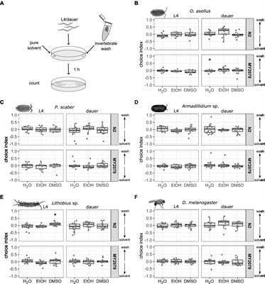 The nematode Caenorhabditis elegans and diverse potential invertebrate vectors predominantly interact opportunistically